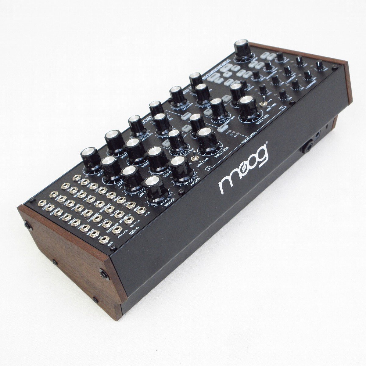 Moog Subharmonicon 