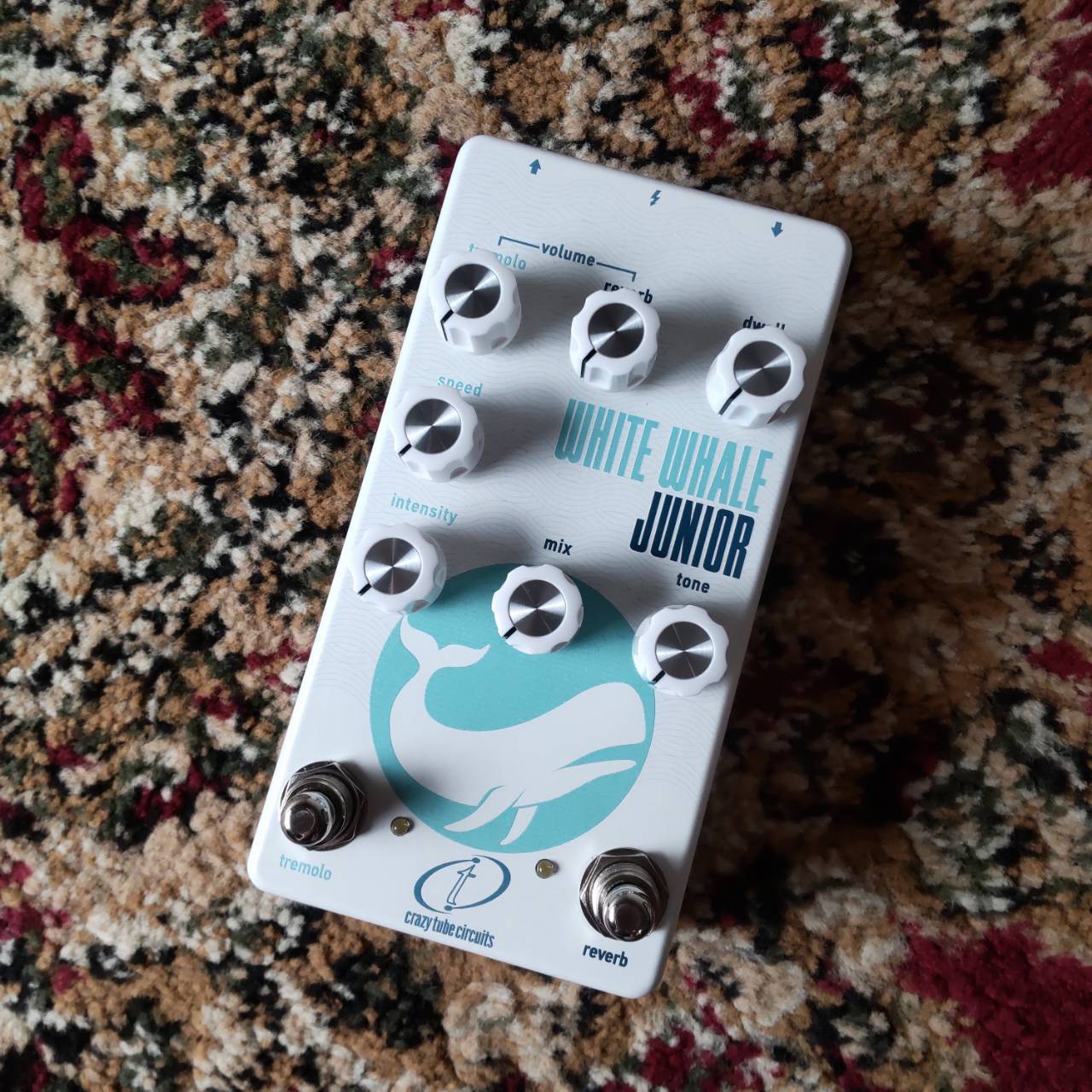 Crazy Tube Circuits White Whale JR（新品/送料無料）【楽器検索