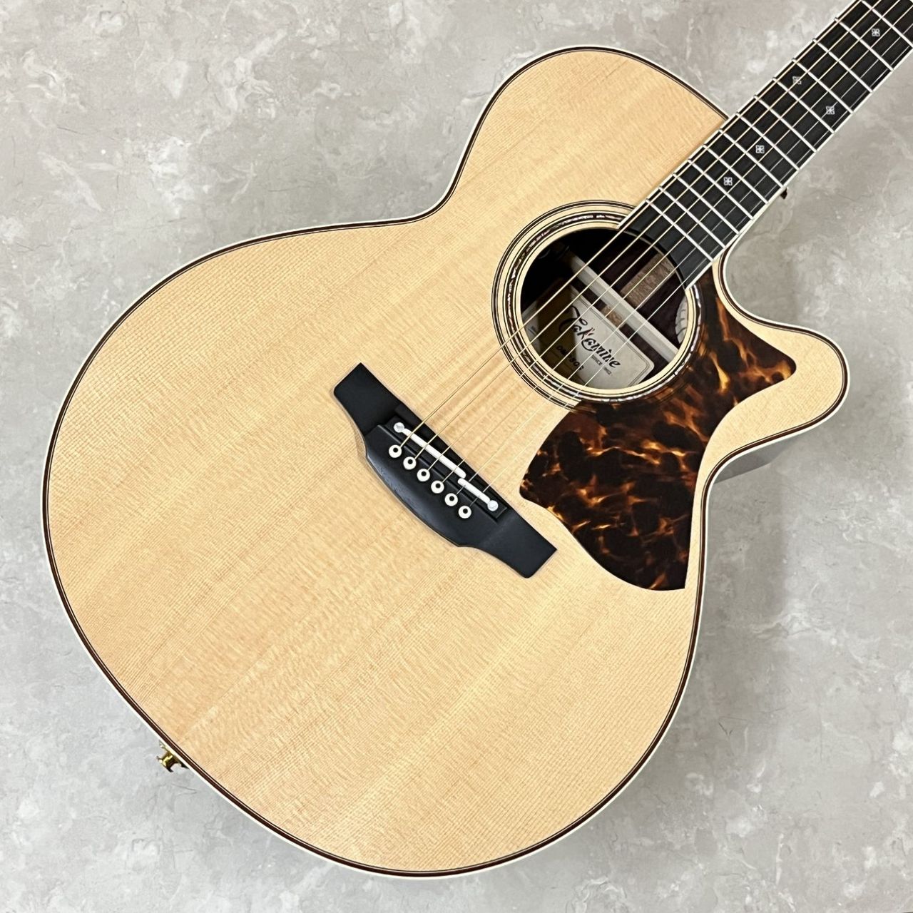 Takamine DMP50S NAT エレアコギター セミハードケース付属