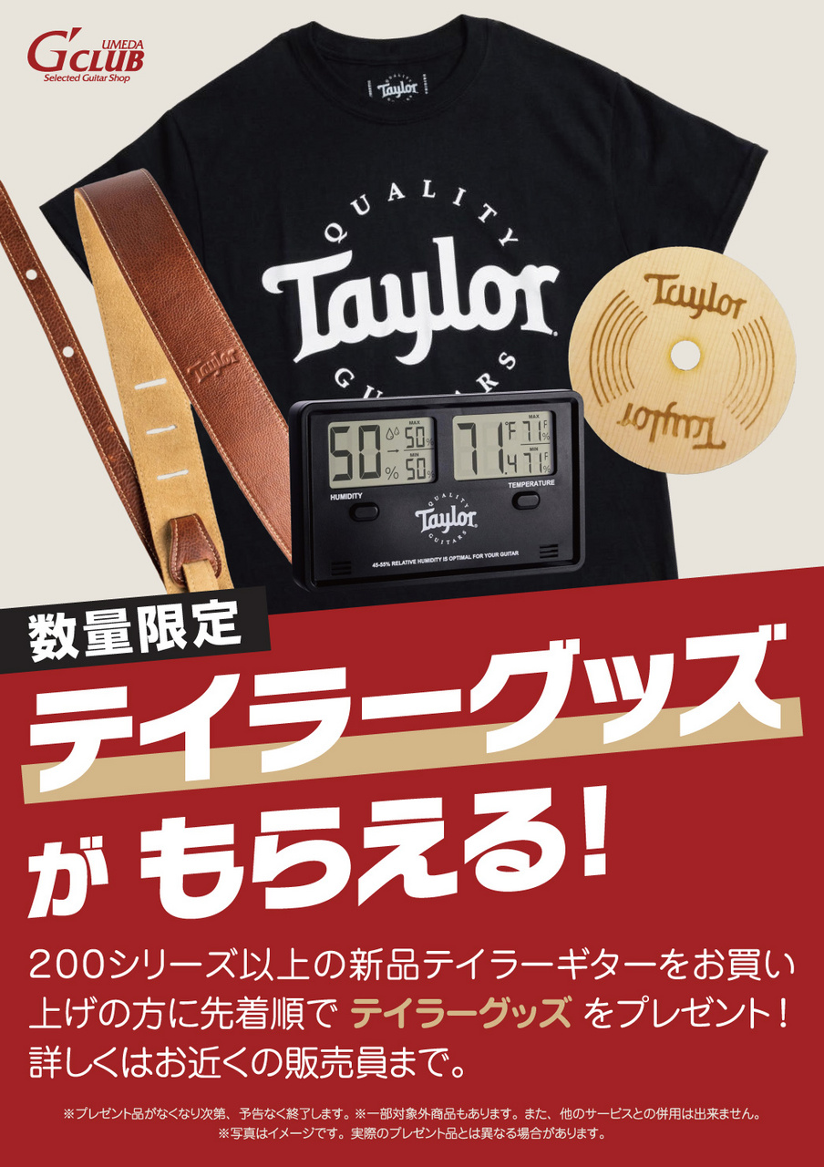 Taylor 312ce 【送料当社負担・最大48回分割無金利】（新品）【楽器