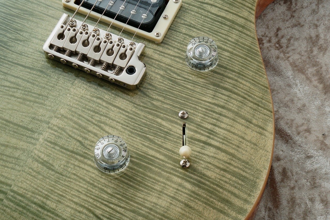 Paul Reed Smith(PRS) SE CUSTOM 24 ~Trampas Green~【48回無 Paul Reed Smith(PRS) SE CUSTOM 24 ~Trampas Green~【48回無