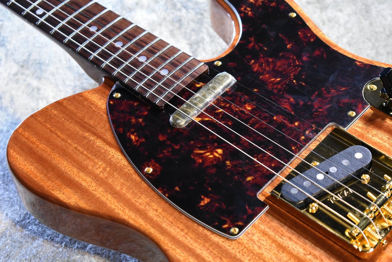Tokai ATE-103G NR #260373【限定モデル、マホガニーネック&ボディー