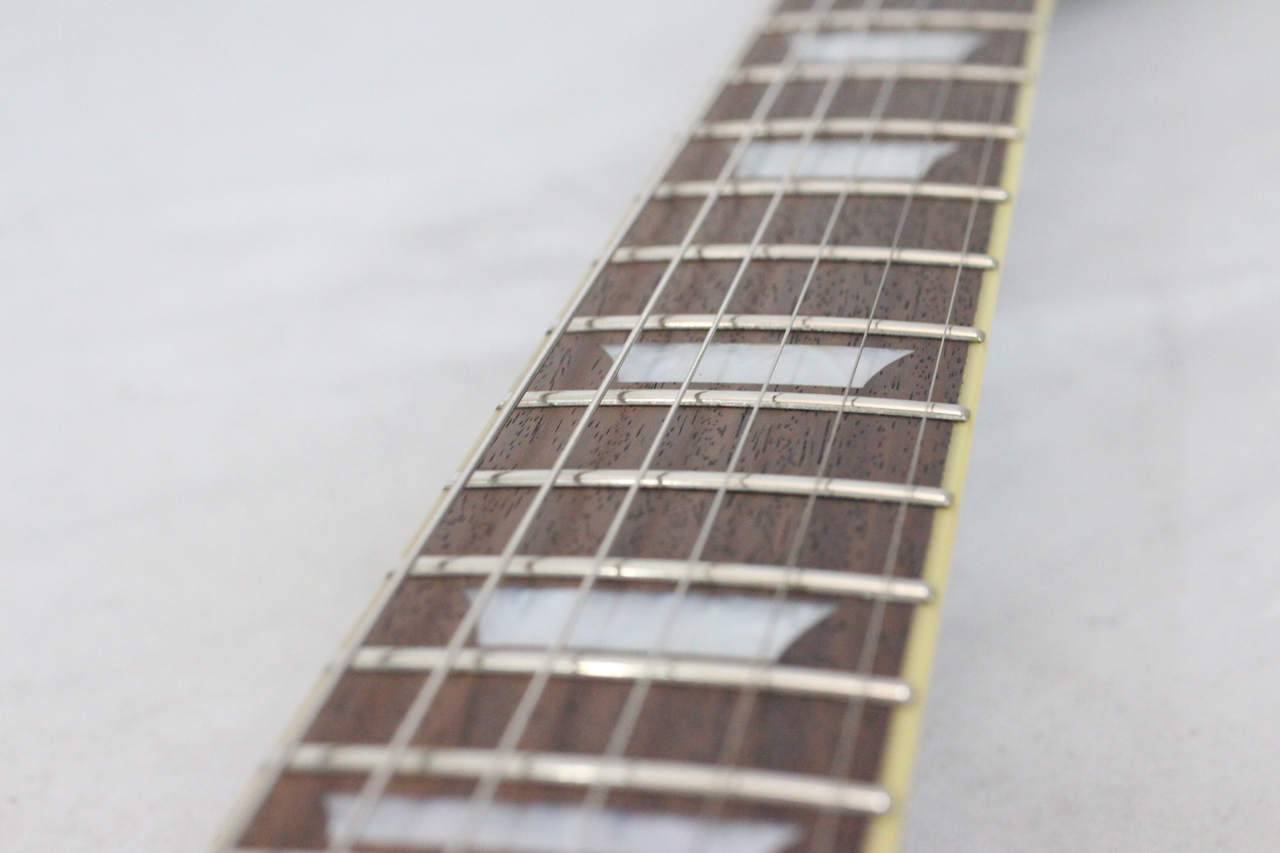 EDWARDS E-SG-110LT2/VT（中古）【楽器検索デジマート】
