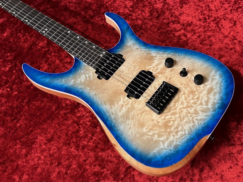 ギター Ormsby Guitars HYPE G6 EXO 楽天市場】Ormsby Guitars HYPE GTR Floyd Exotic MH BB
