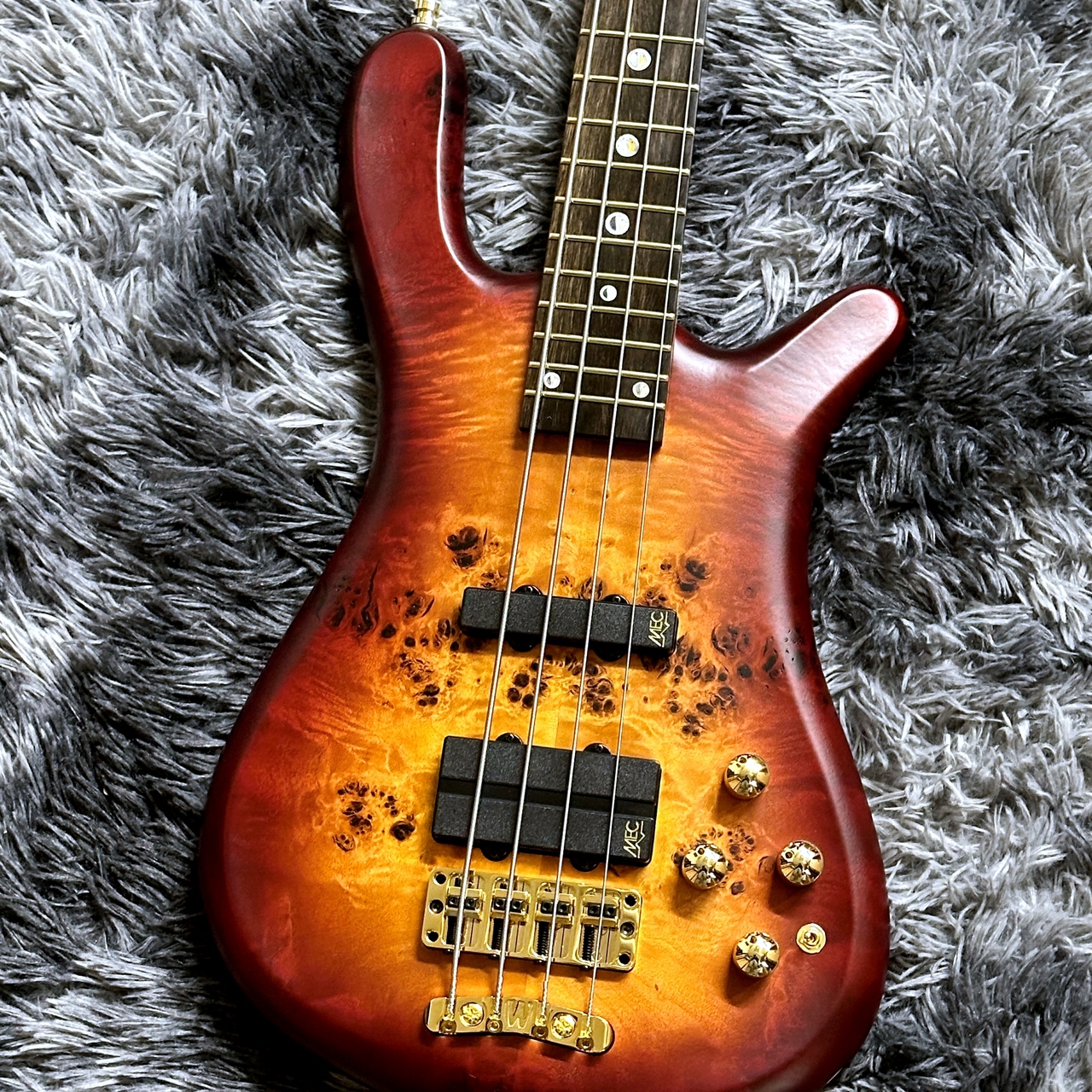 Warwick Teambuilt Streamer LX 4-string Limited Edition 2025 Honey