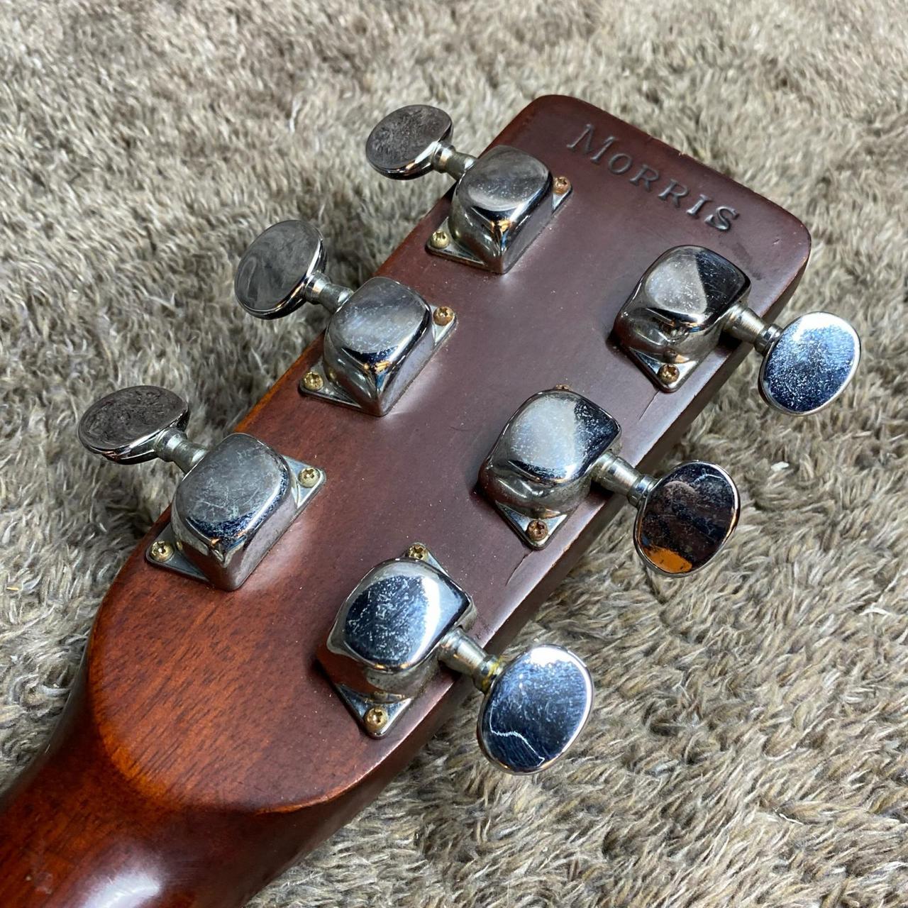 Morris F-15【尾張小牧店】（中古/送料無料）【楽器検索デジマート】