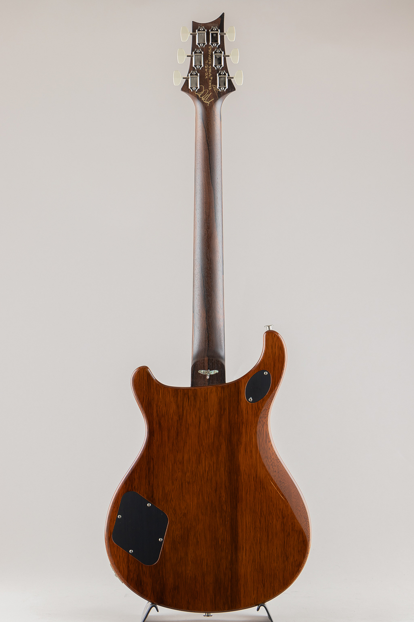 Paul Reed Smith(PRS) Private Stock # 11643 McCarty 594 Semi-hollow