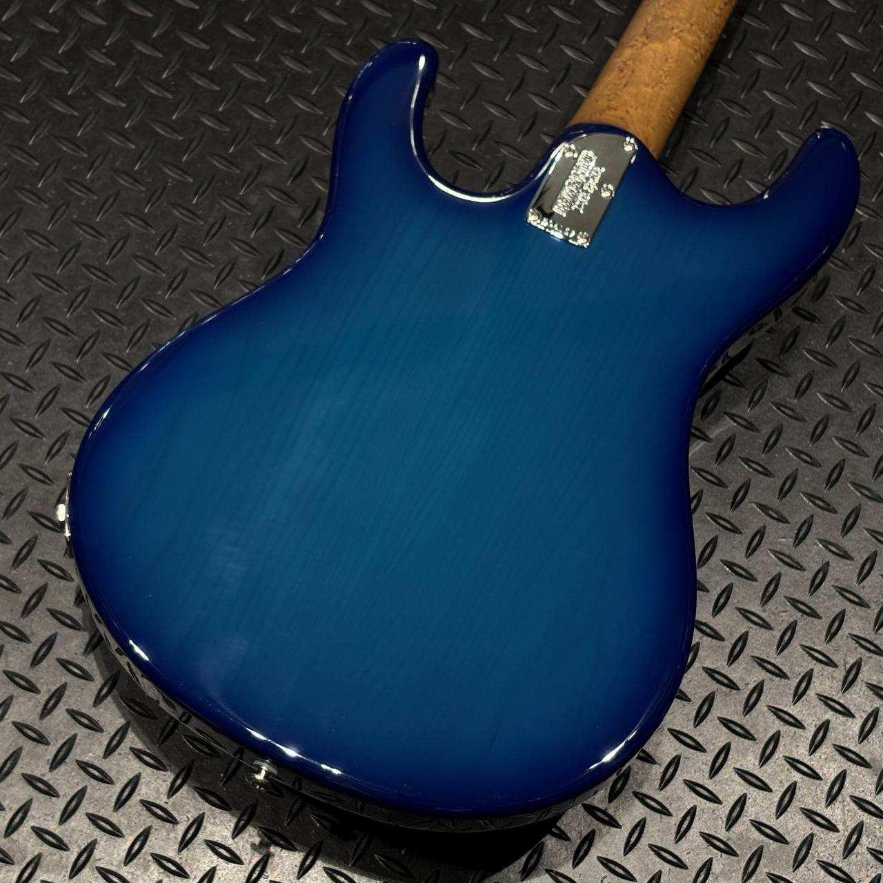 MUSIC MAN 【米国買付品】STEVE MORSE SIGNATURE（新品/送料無料