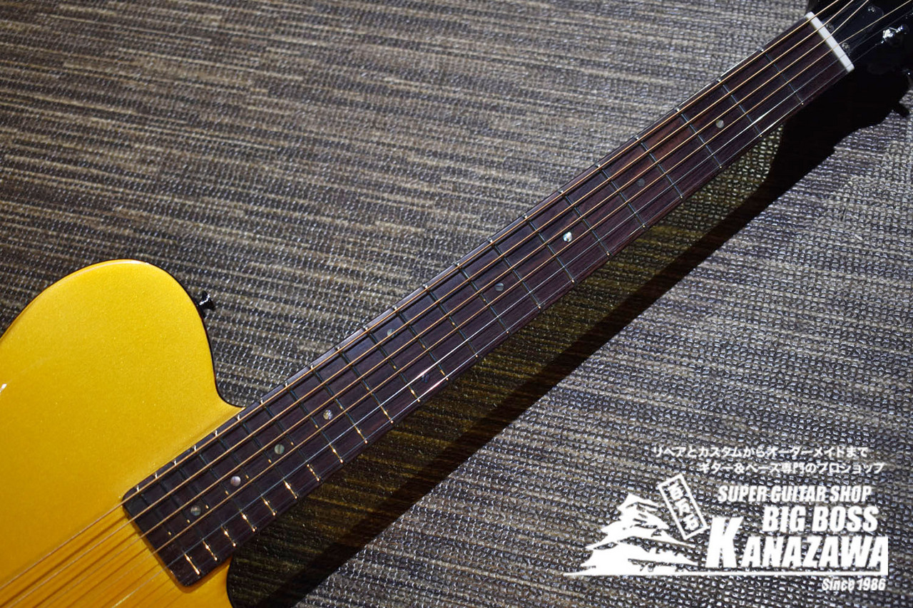 SCHECTER Oriental Line OL-FL-P【限定カラー!!エレキギター感覚