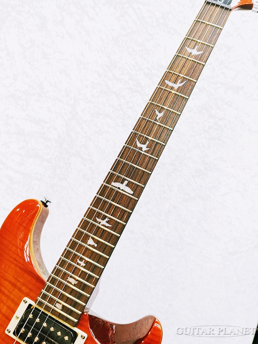 ギター Paul Reed Smith(PRS) SE EG Sunburst 71qwqssH72L._UF350,350_QL50_.jpg