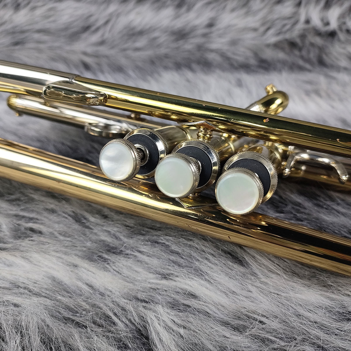 Holton T101GB（中古/送料無料）【楽器検索デジマート】