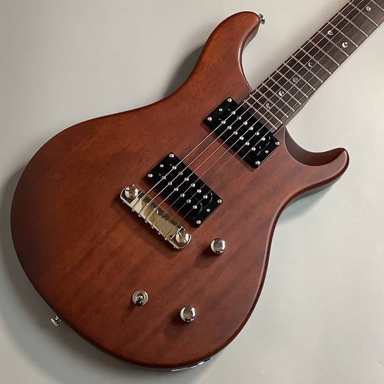 Paul Reed Smith(PRS) SE22STD