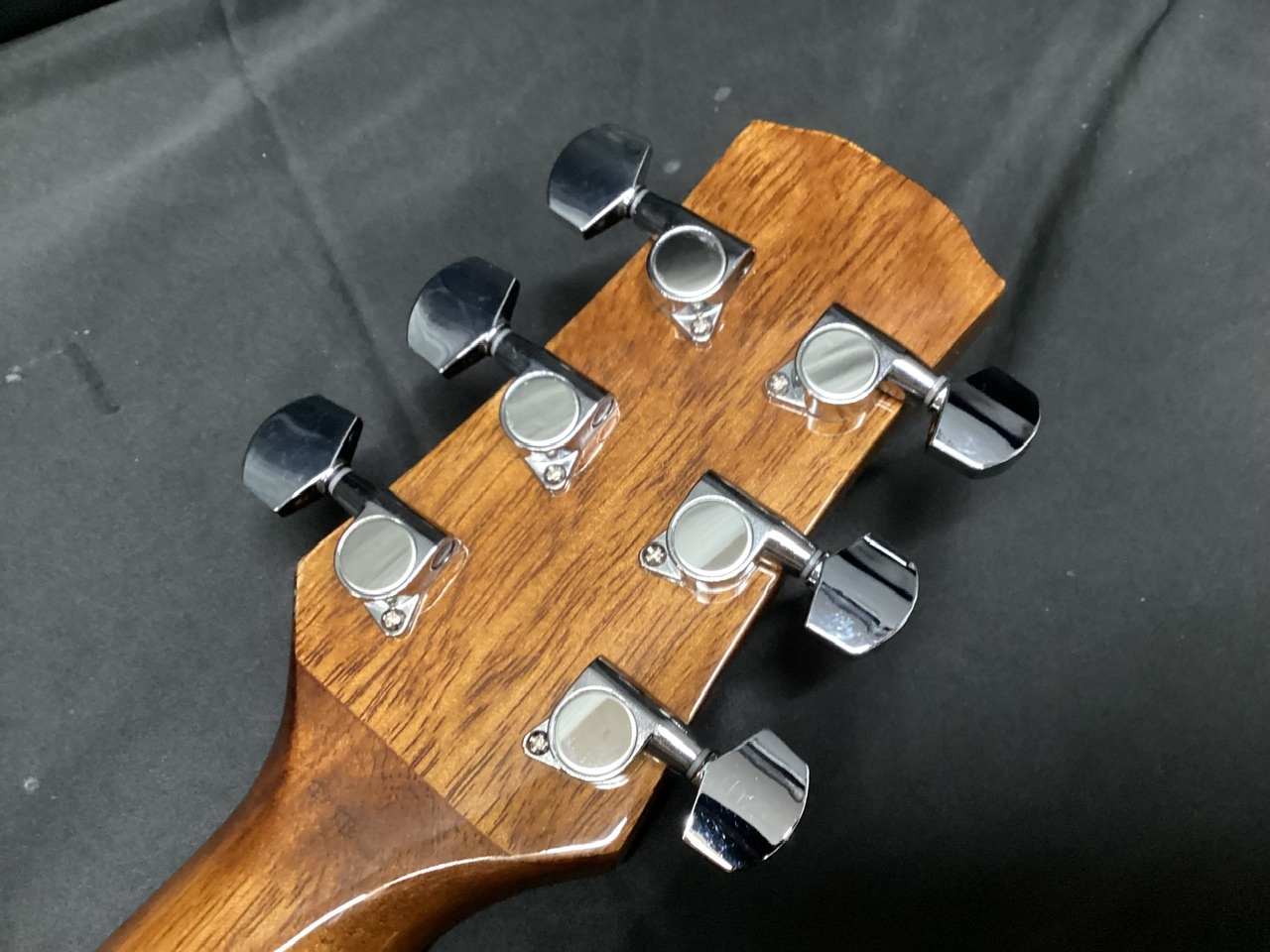 Morris R-011 TS (モーリス エレアコ R011 カッタウェイ )（中古）【楽器検索デジマート】