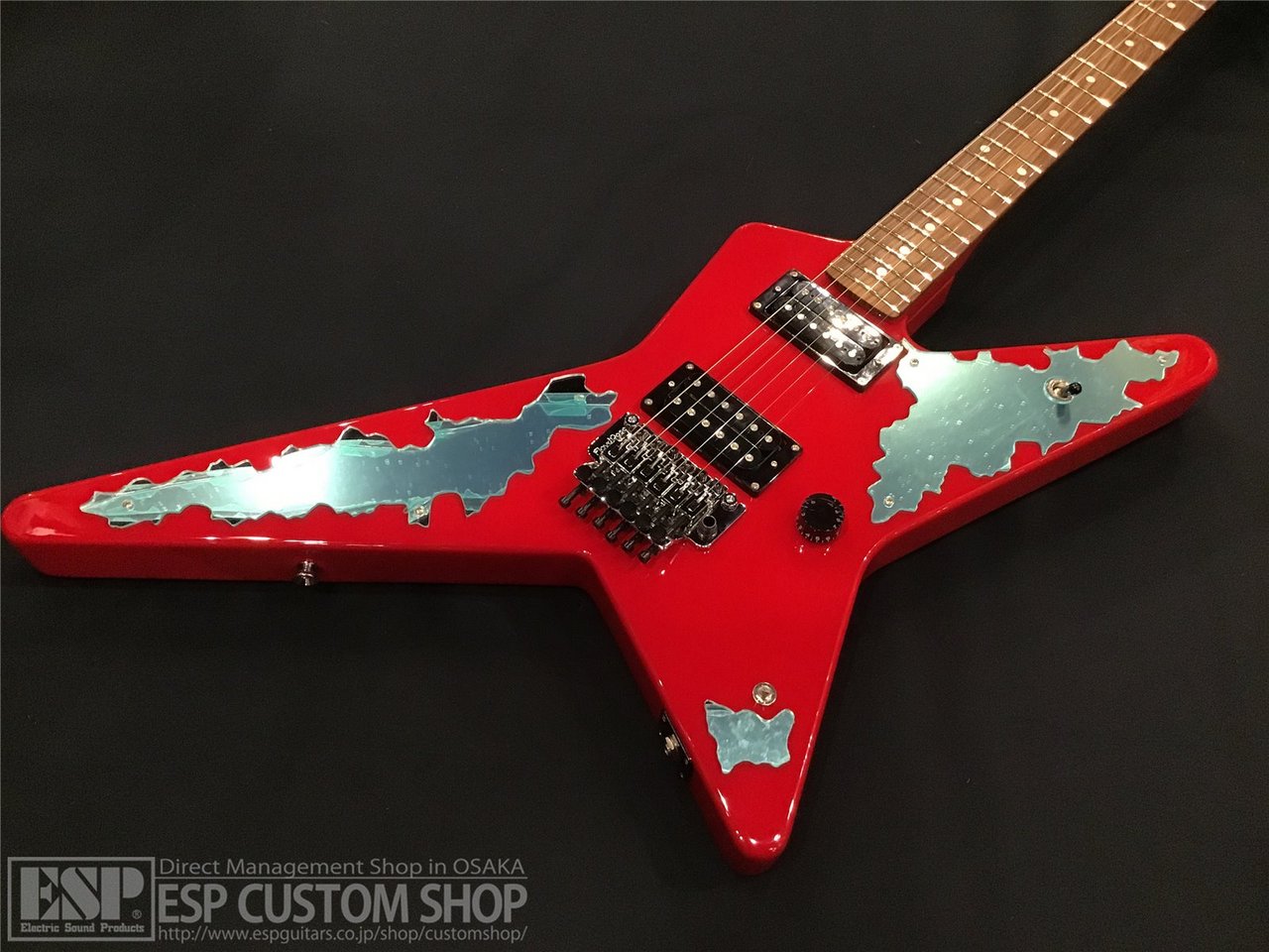 EDWARDS E-RS-145G/R