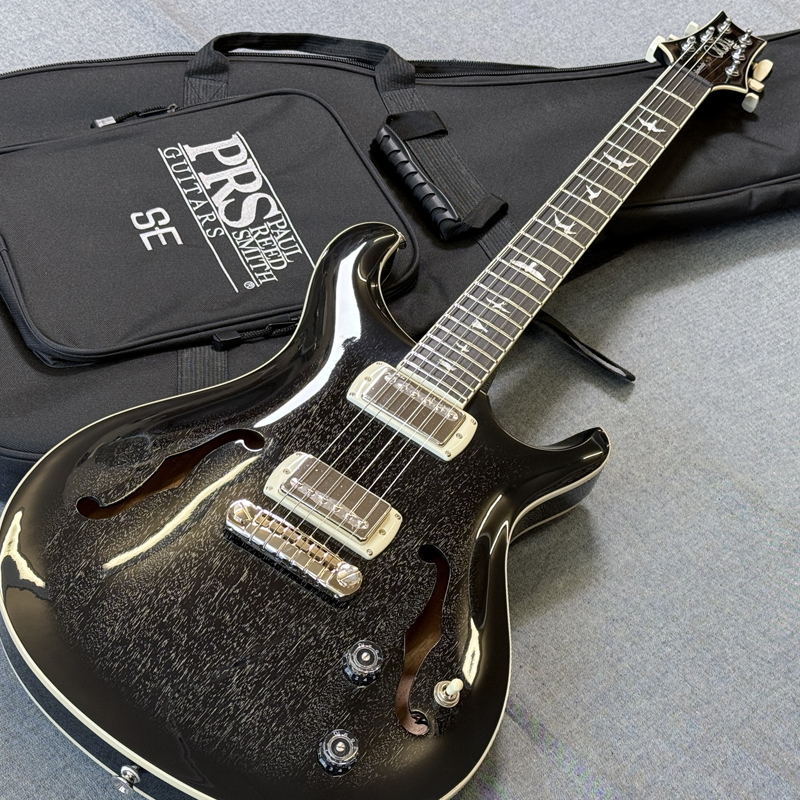 Paul Reed Smith(PRS) SE Hollowbody Standard / Dog Hair Smokeburst