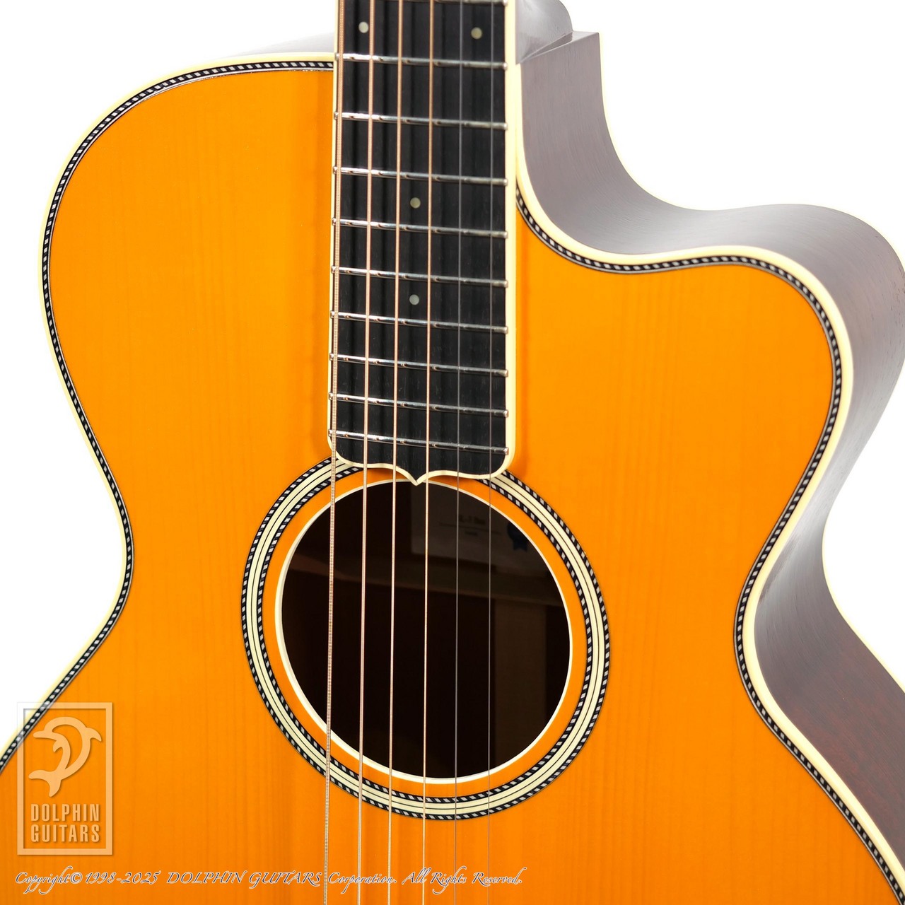 SWITCH SL-3 Bee (Antique Orange)（新品）【楽器検索デジマート】