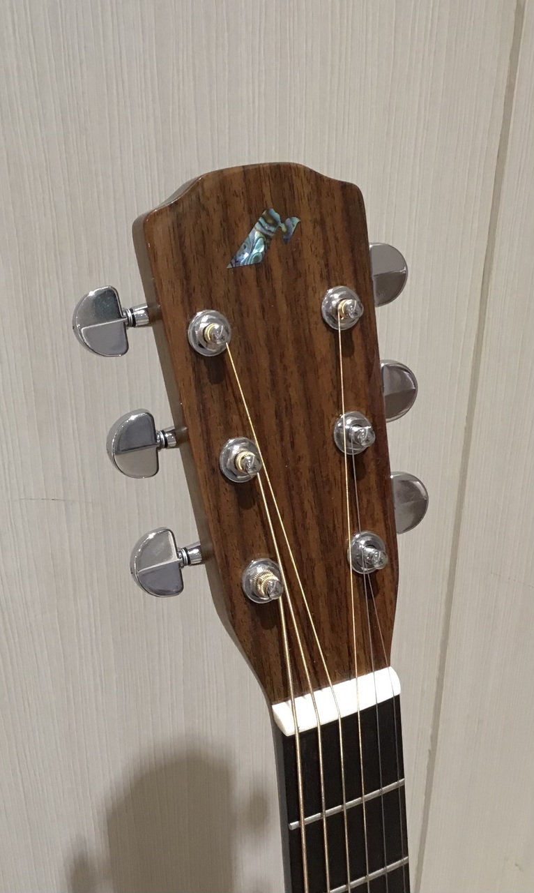Morris F-LTD Ⅱ（新品/送料無料）【楽器検索デジマート】