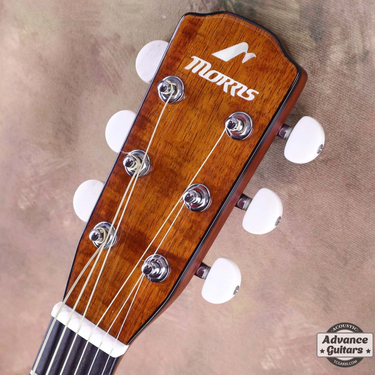 Morris MF-702（中古）【楽器検索デジマート】