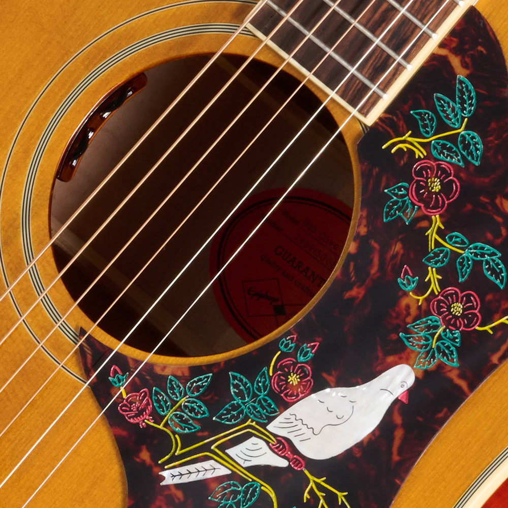 エピフォン　DOVE Gibsonカスタム エピフォン×ギブソン・カスタムのコラボで実現した「1963 Dove