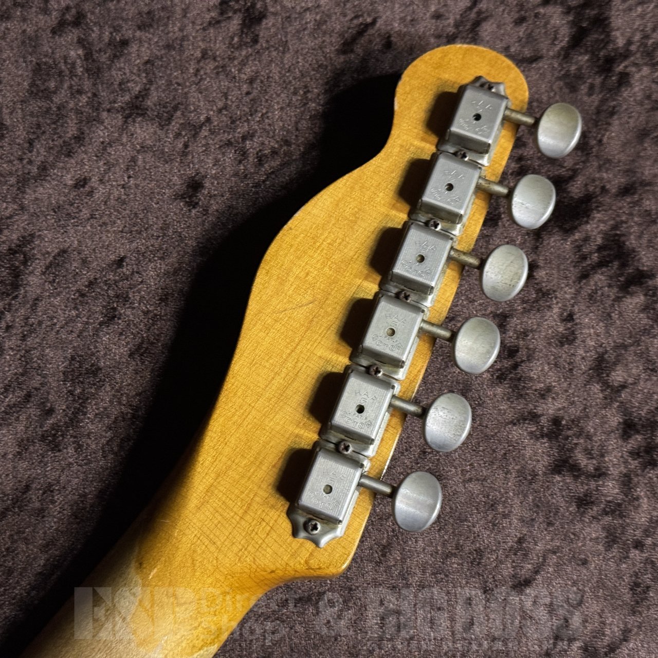 Navigator Custom Order N-TE-CTM Aged（中古/送料無料）【楽器検索