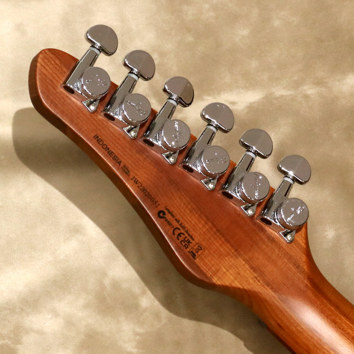 Balaguer Guitars Thicket Standard, Gloss Pastel Pink（新品/送料