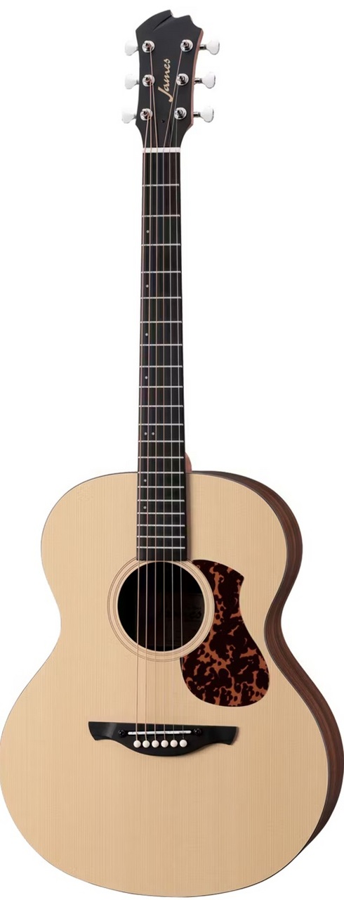 James J-100A SPT アコースティックギター ギグケース付属 スプルース