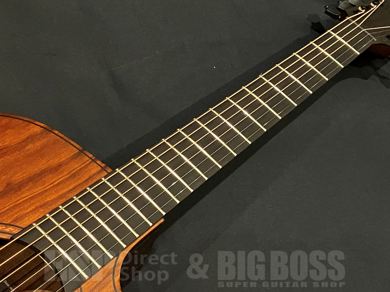 LAG Guitars SAUVAGE-ACE（新品/送料無料）【楽器検索デジマート】