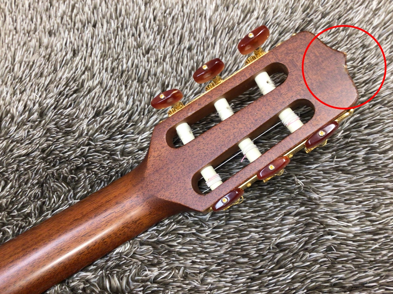 Takamine NPT-110N【USED】【純正ハードケース付き】（中古/送料