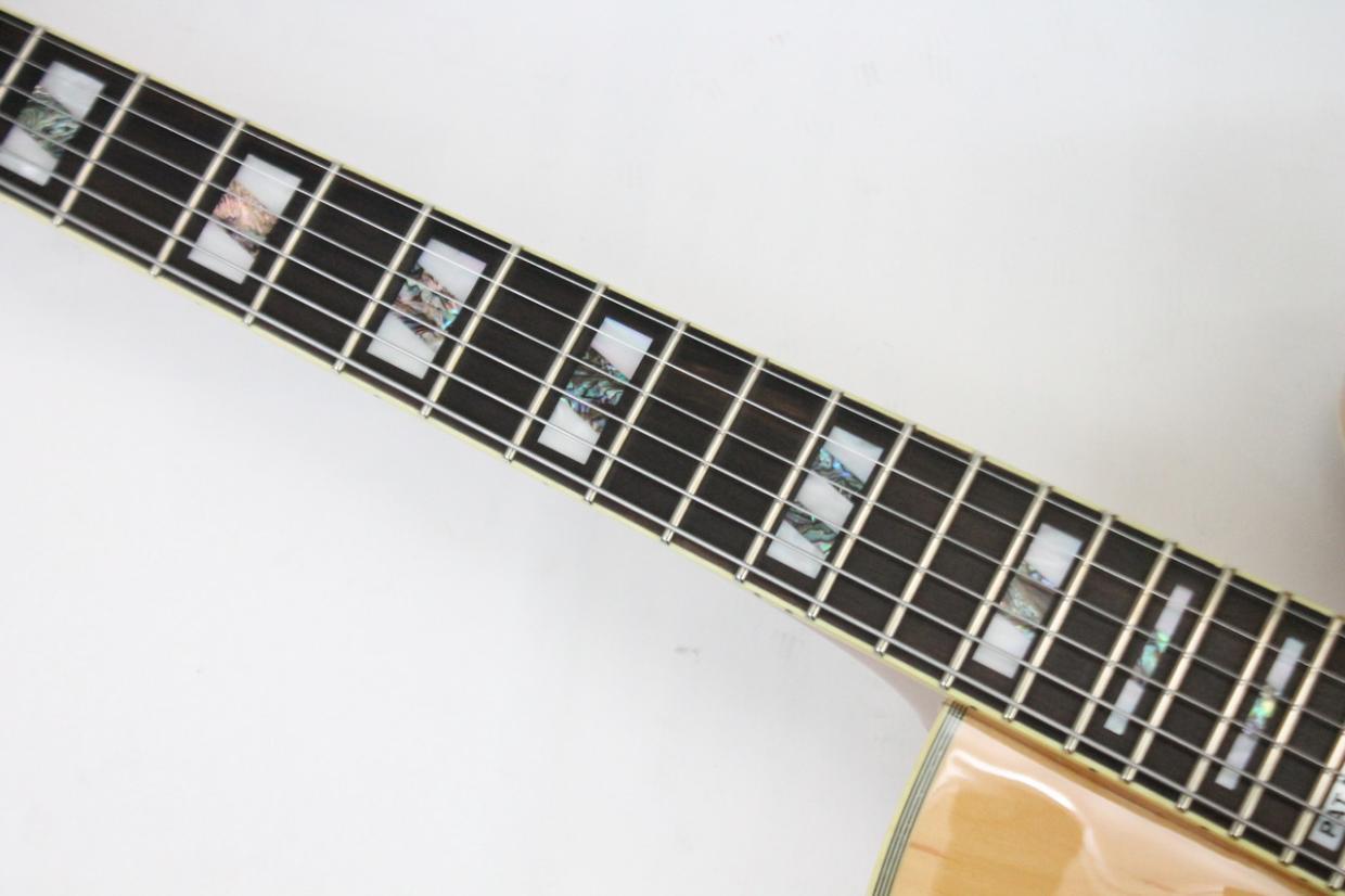 Ibanez PM200 / パットメセニー シグネチャーモデル（新品/送料無料