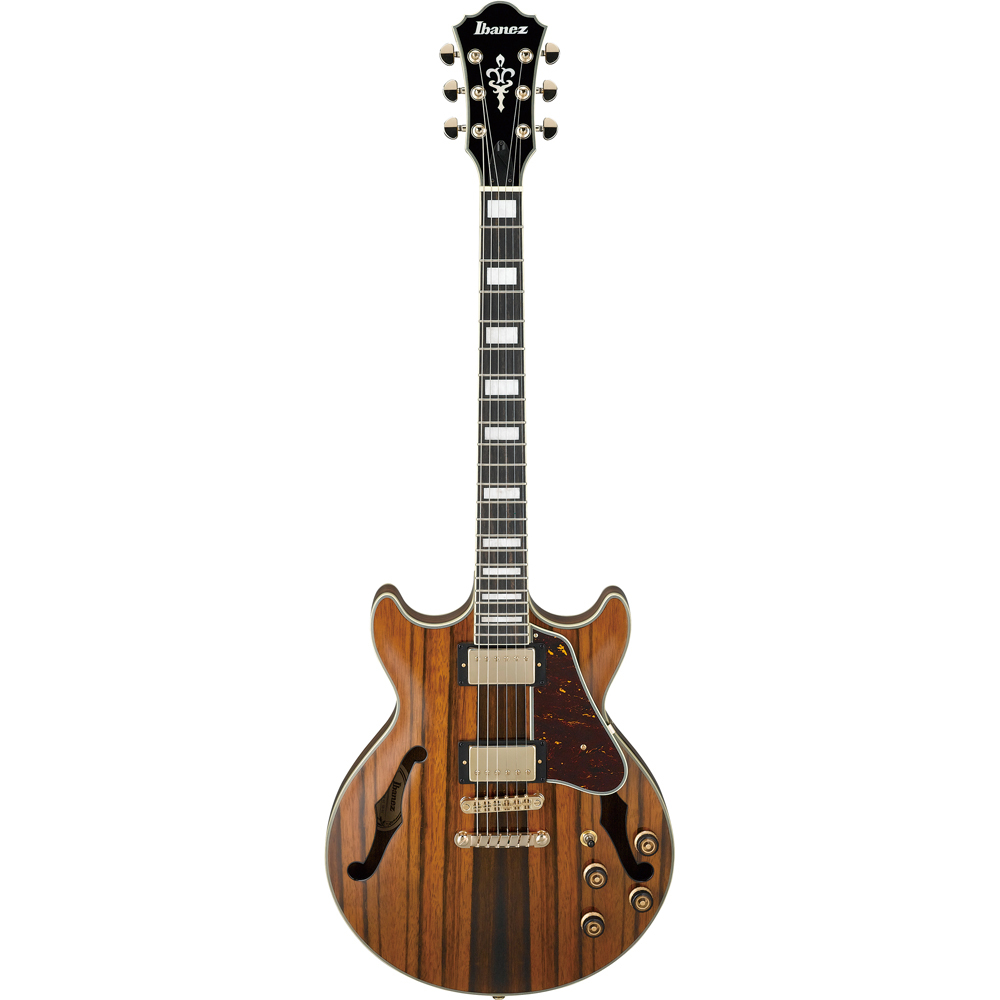 Ibanez製 ibanez am93me-nt5b02 本体のみ Amazon.com: Ibanez Artcore Expressionist AM93ME Semi-Hollow