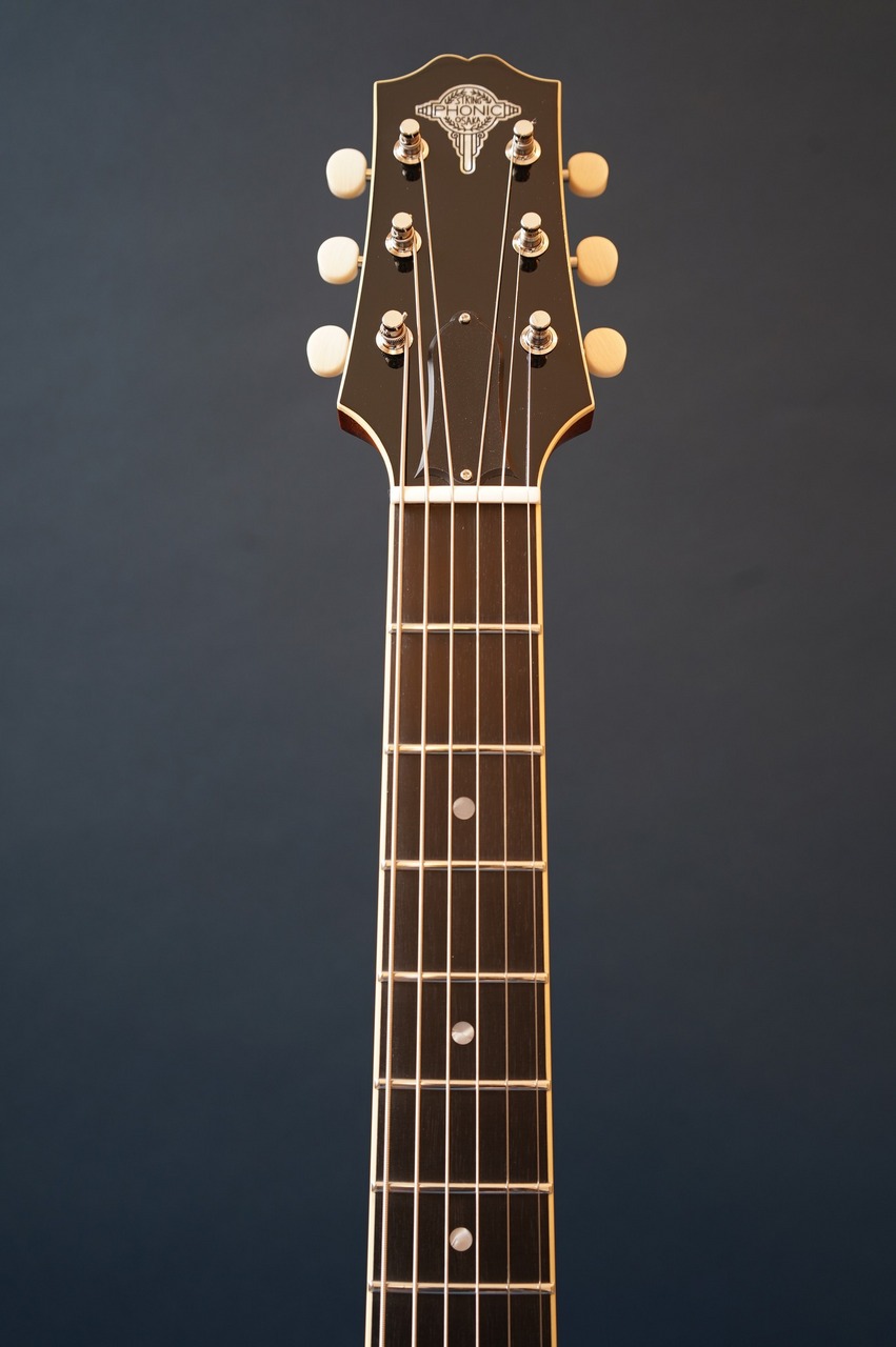 Stringphonic LeRoy SA-D（新品/送料無料）【楽器検索デジマート】