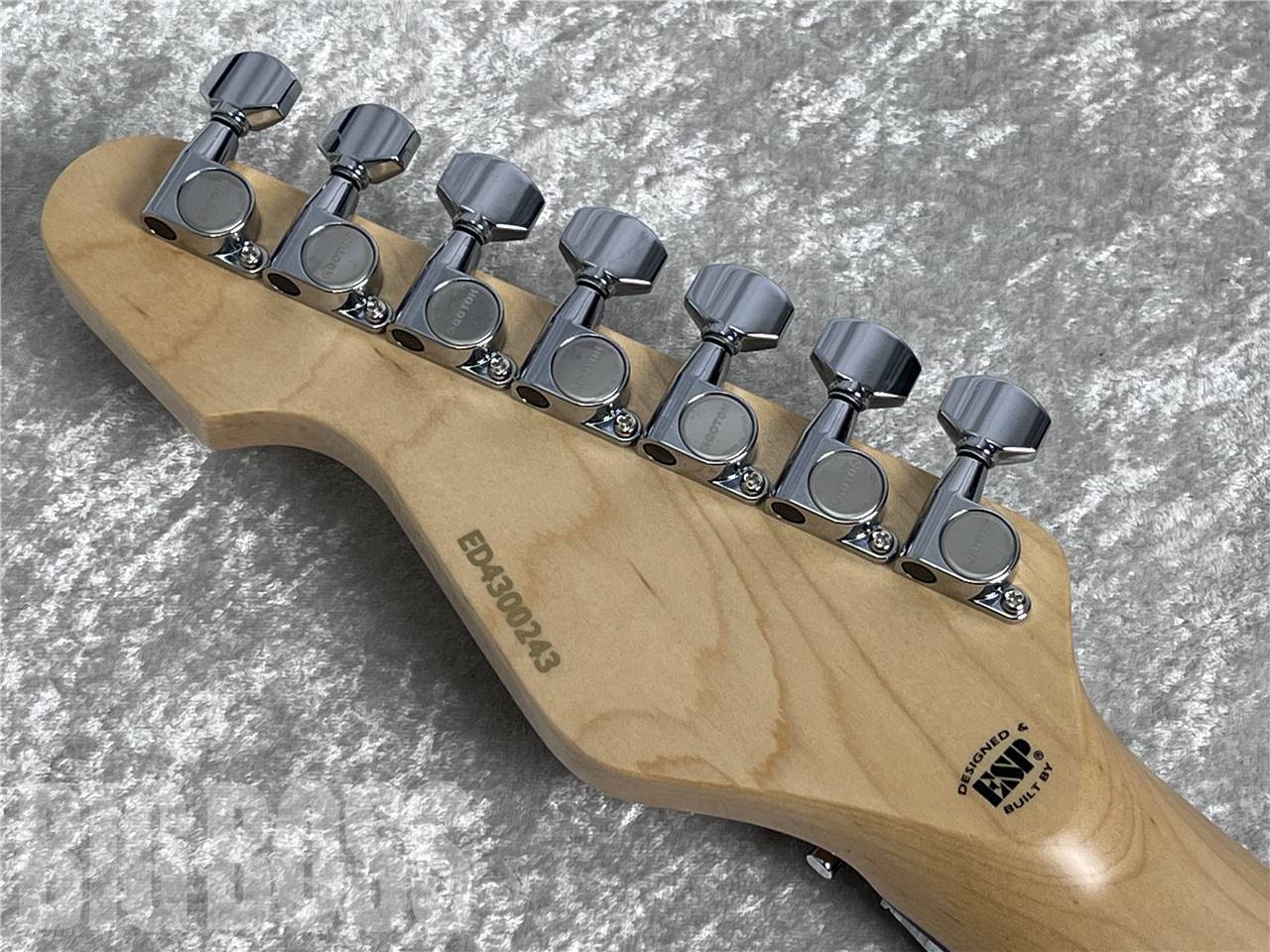 EDWARDS E-SNAPPER-7 Fujioka Custom（新品/送料無料）【楽器検索