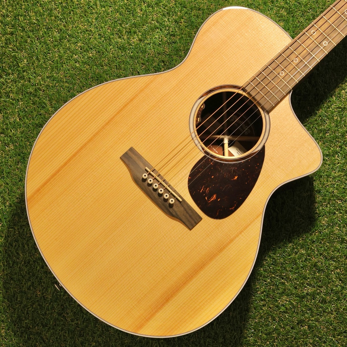 Martin SC-13E-1 エレアコ　美品　コメントにてお値下げ対応します Martin SC-13E-1 エレアコ 美品 コメントにてお値下げ対応します Martin