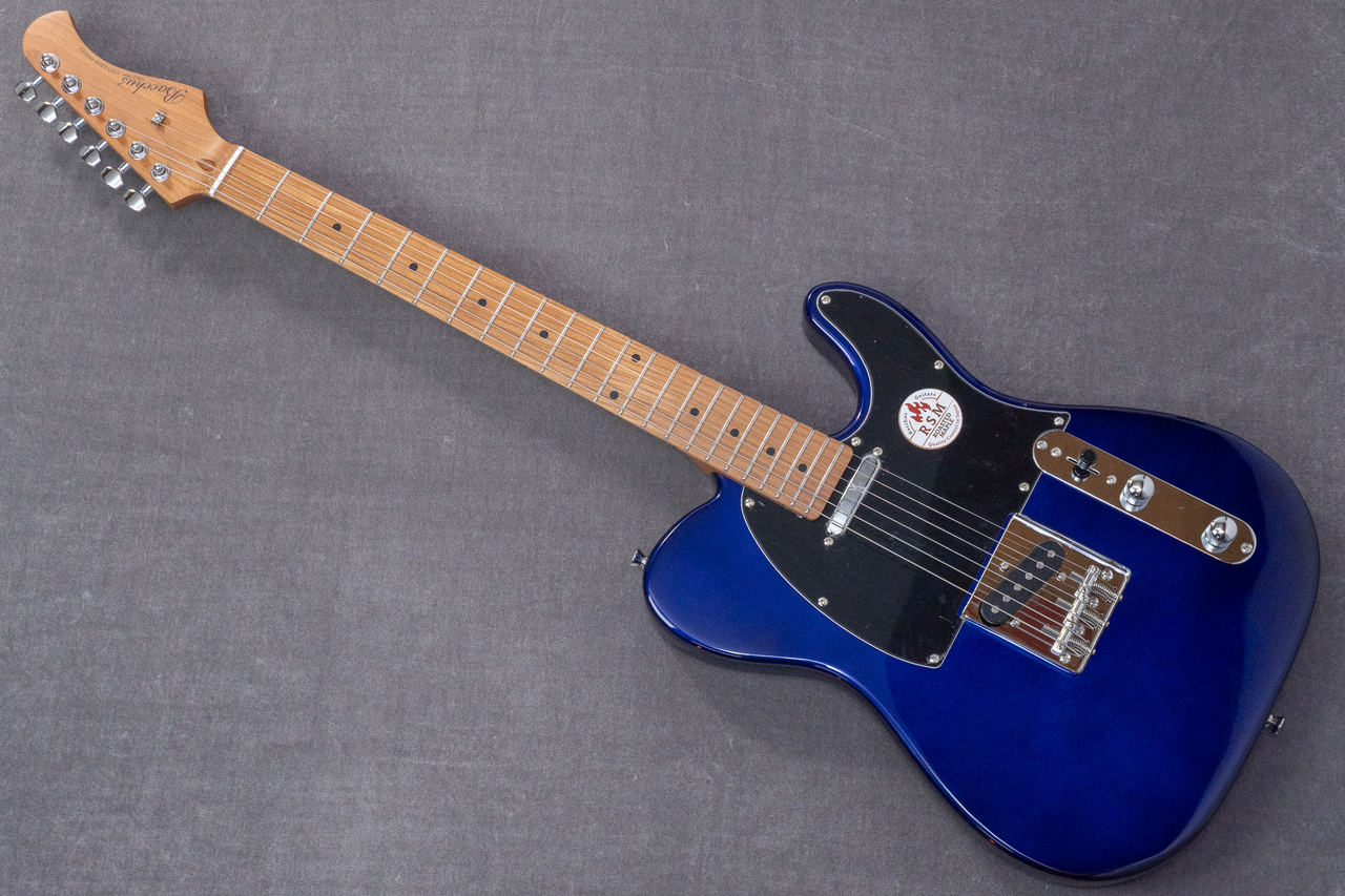 [美品]Bacchus BTE-1DX RSM/M Black Bacchus / BTE-1DX RSM/M BLK GIB mod.