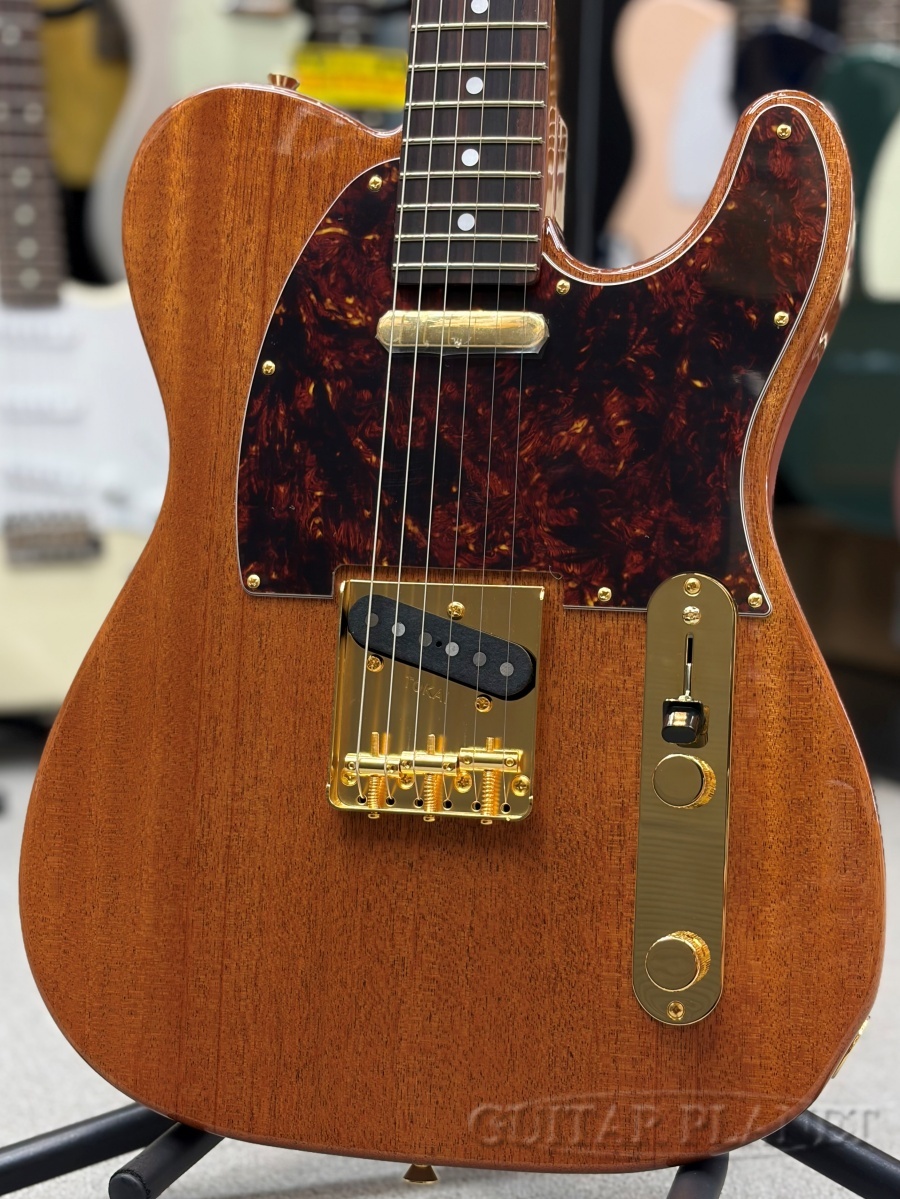 Tokai ATE-103G NR【カタログ外モデル】（新品）【楽器検索デジマート】