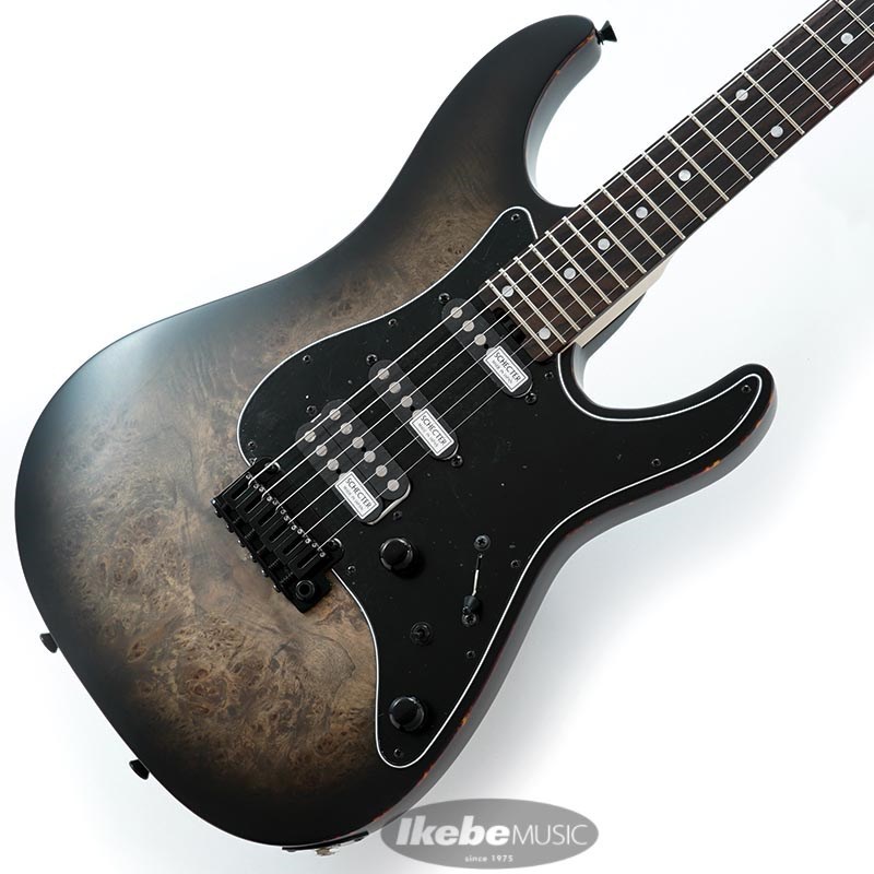 SCHECTER SD-2-24-AS-VTR-BR (SCB/R) [SPOT MODEL]（新品）【楽器検索デジマート】