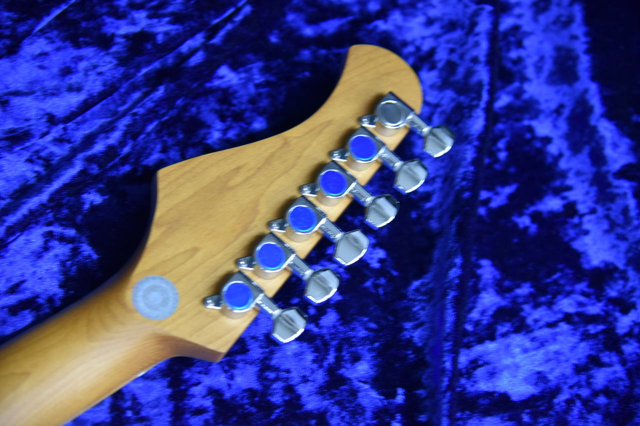 Bacchus BTE-1DX RSM/M BLK (Black)（新品）【楽器検索デジマート】