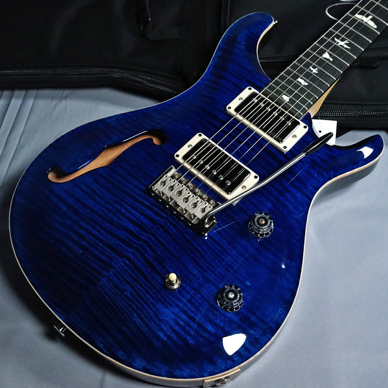 Paul Reed Smith(PRS) CE 24 Semi-Hollow Custom Configulation Whale 