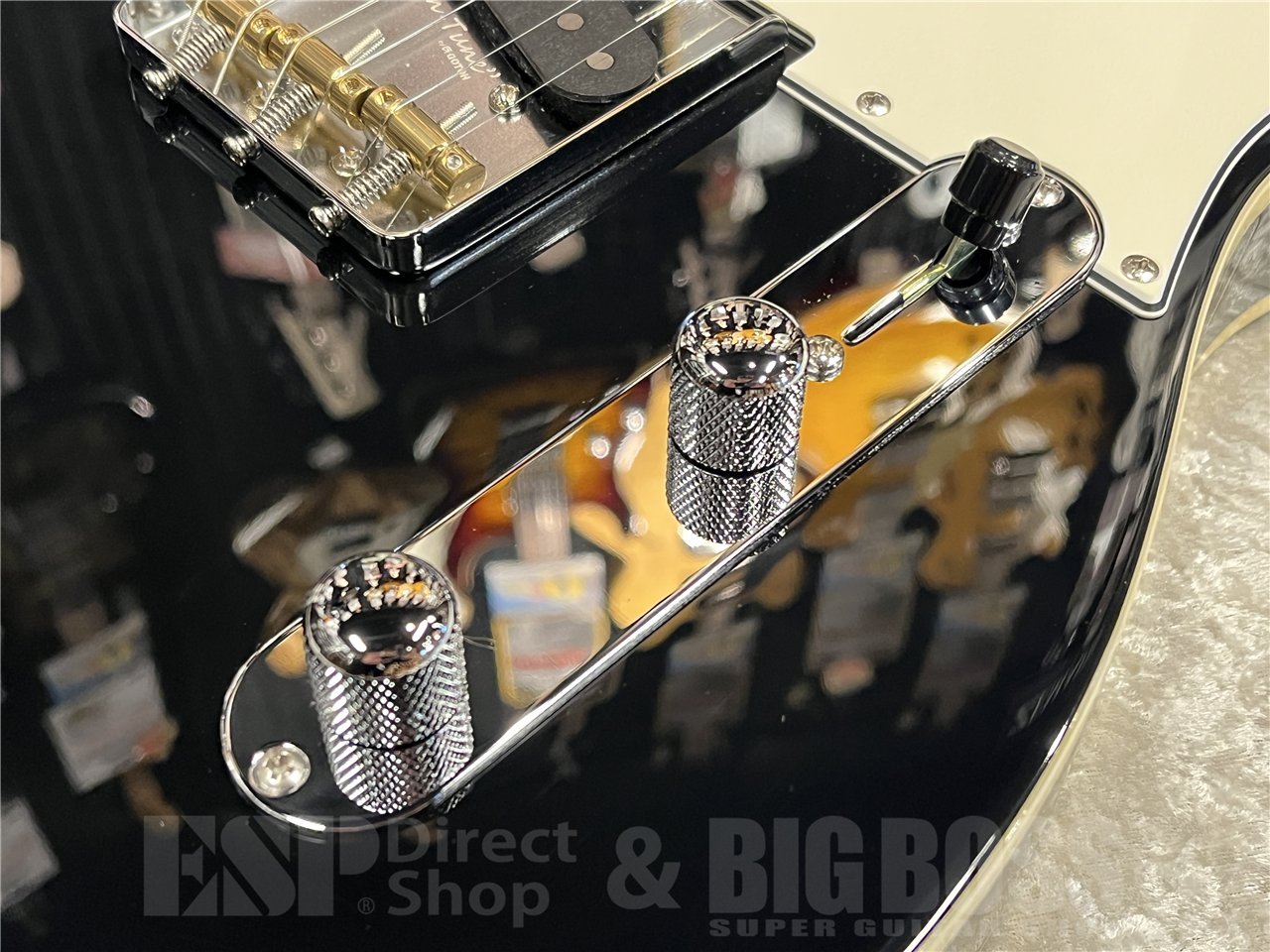 FUJIGEN(FGN) NTE210RAH【Black】（新品/送料無料）【楽器検索デジマート】