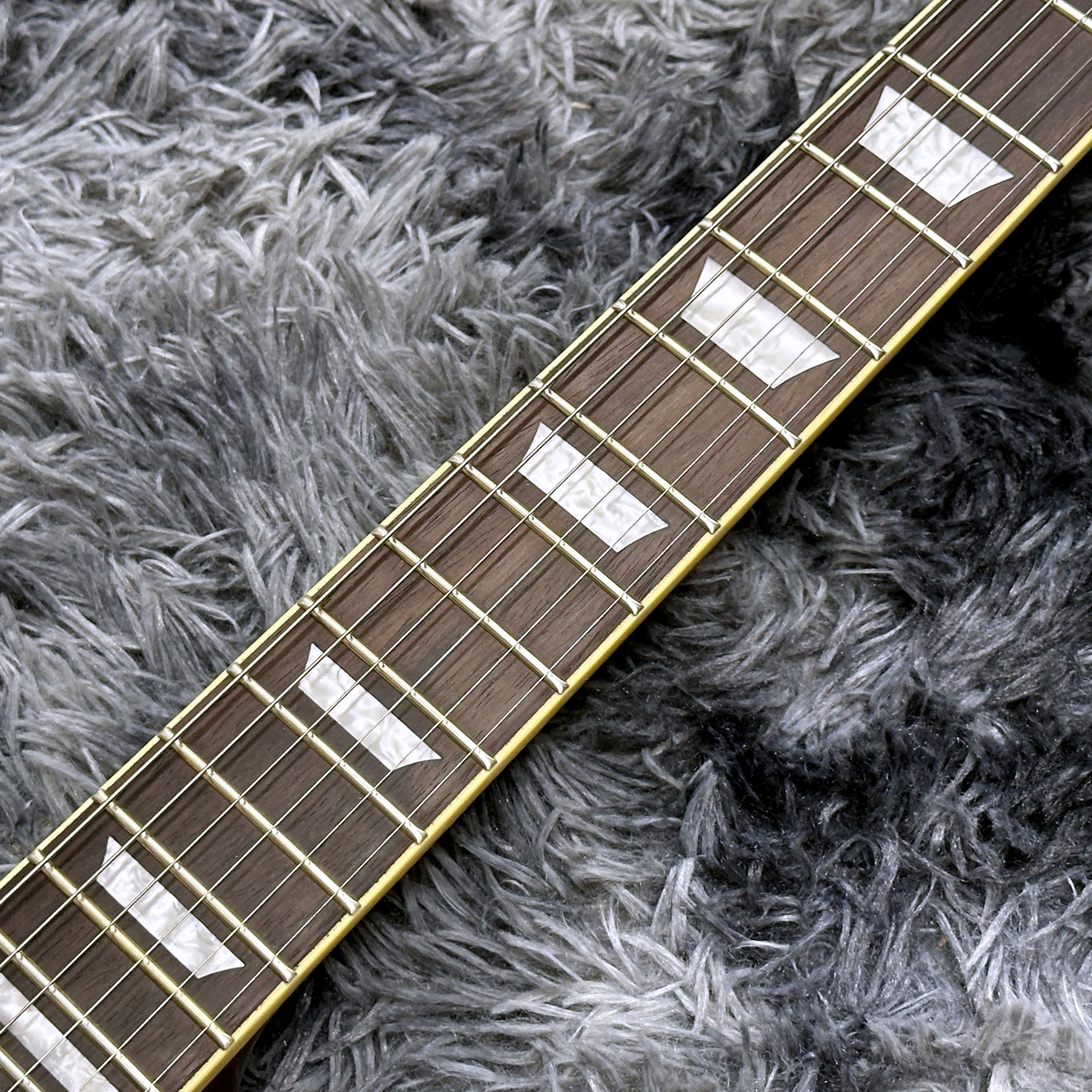 Bacchus BARON-STD/S BLK -Global Series-【NEWカラー!】【高級感の