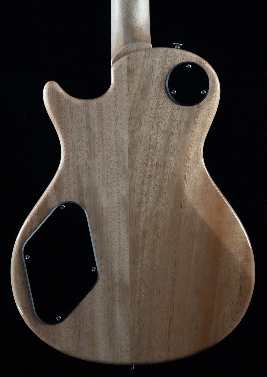 Paul Reed Smith(PRS) SE ZACH MYERS/Myers Blue【24.594スケール/軽量