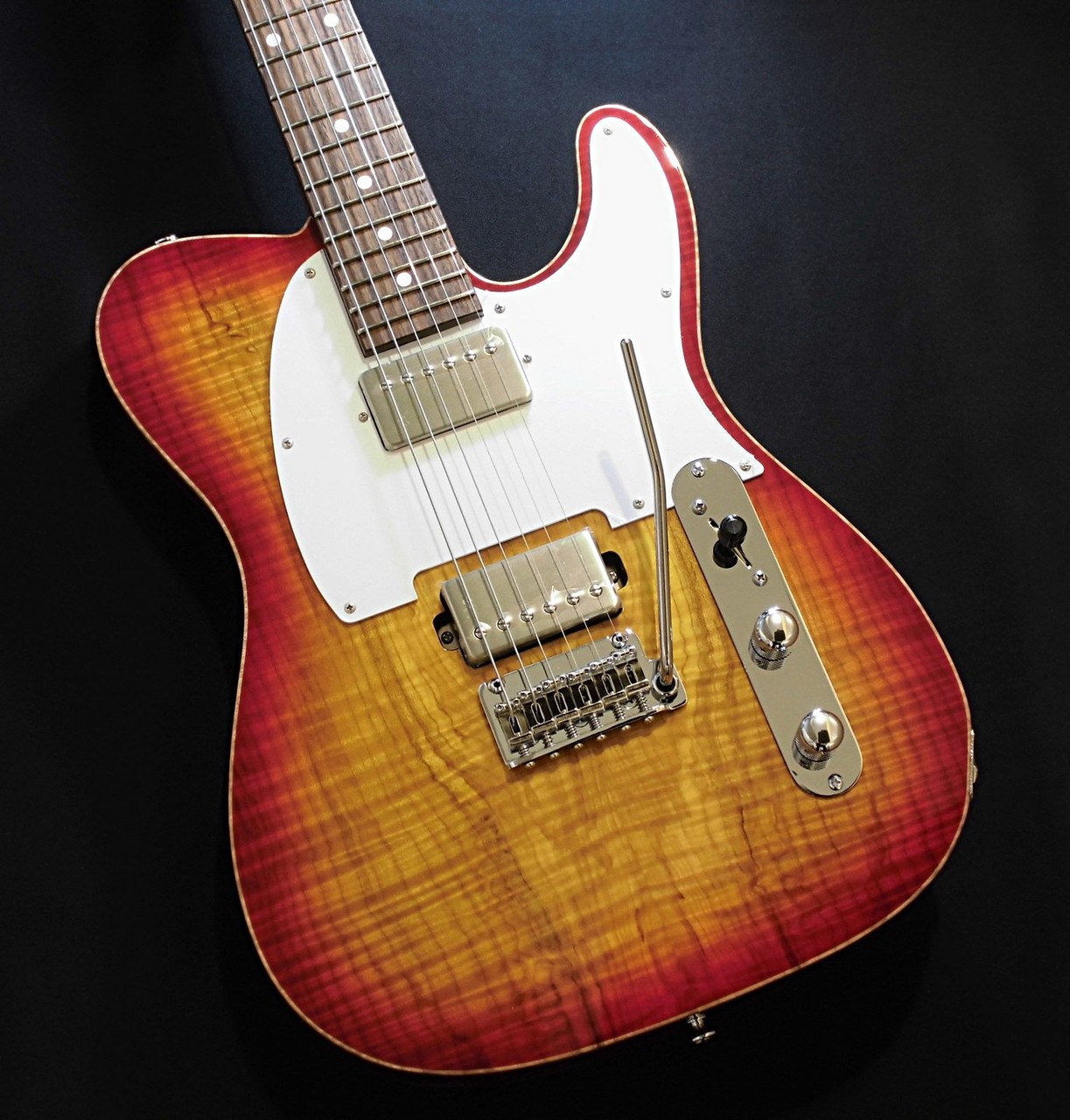 新品　トルコ音楽　ターキッシュ　マカーム　ガイド　CD2枚付き 新品 トルコ音楽 ターキッシュ マカーム ガイド CD2枚付き