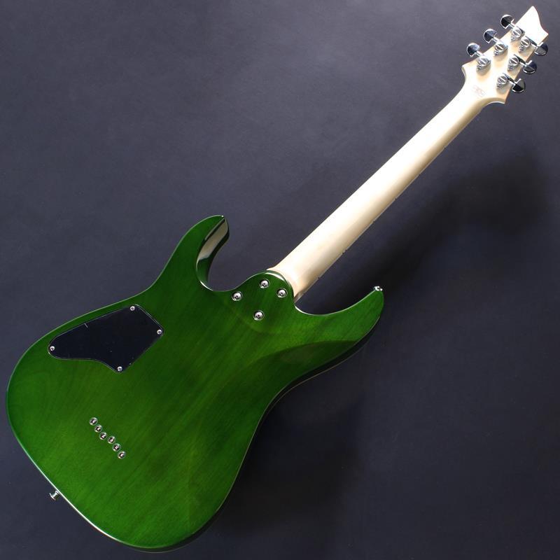 SCHECTER PA-SW/TH #S2509225【Proguage Artist Model Shadows