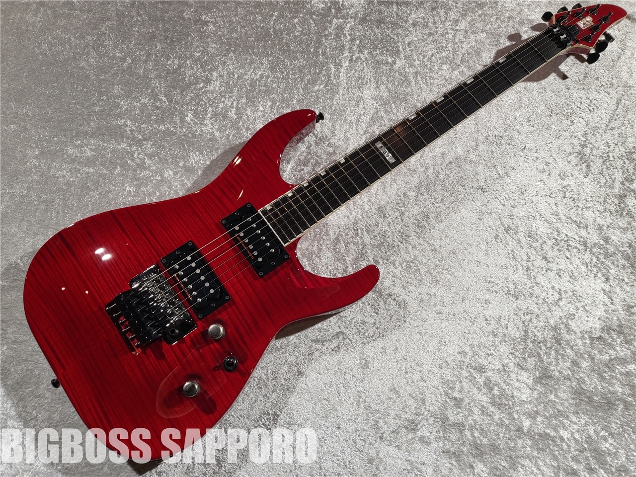 ESP ESP HORIZON CTM FM