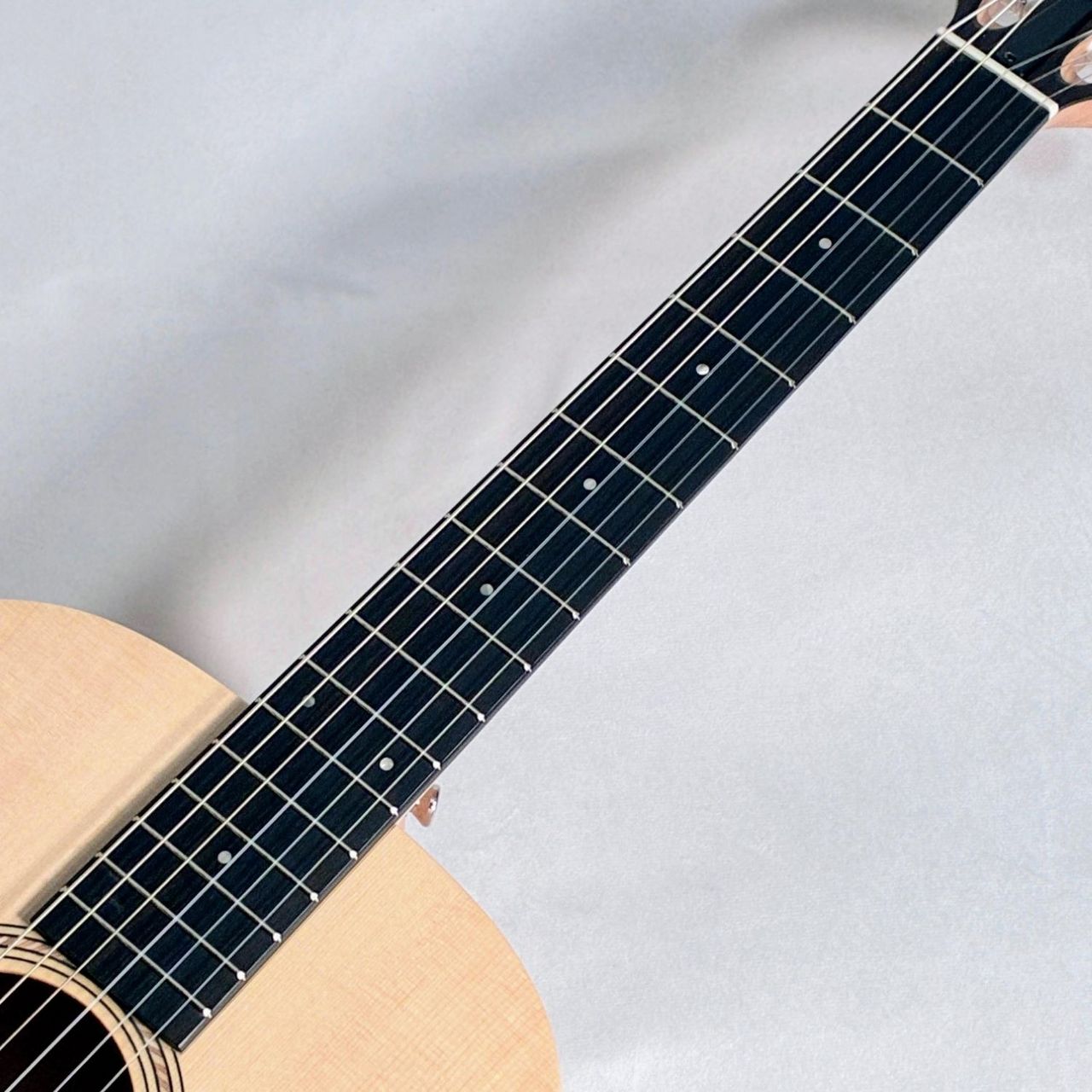 Taylor LTD EG Academy 12e-N【現物画像】※試奏予約可能（新品/送料