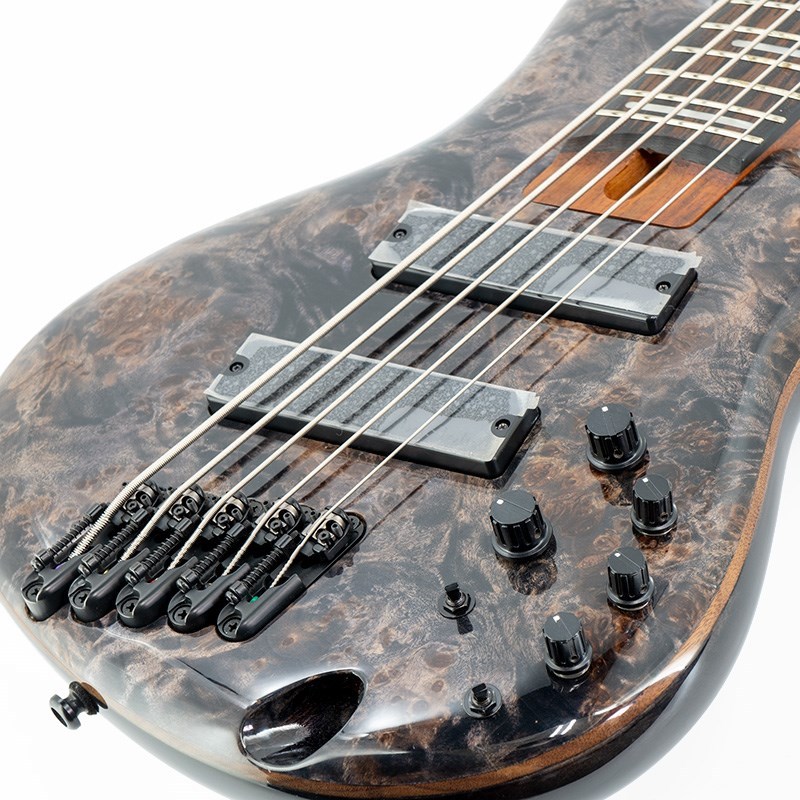 Ibanez SRMS805-DTW 5弦ベース ファンフレット Ibanez SRMS805-DTW 5弦ベース ファンフレット Ibanez Bass Workshop