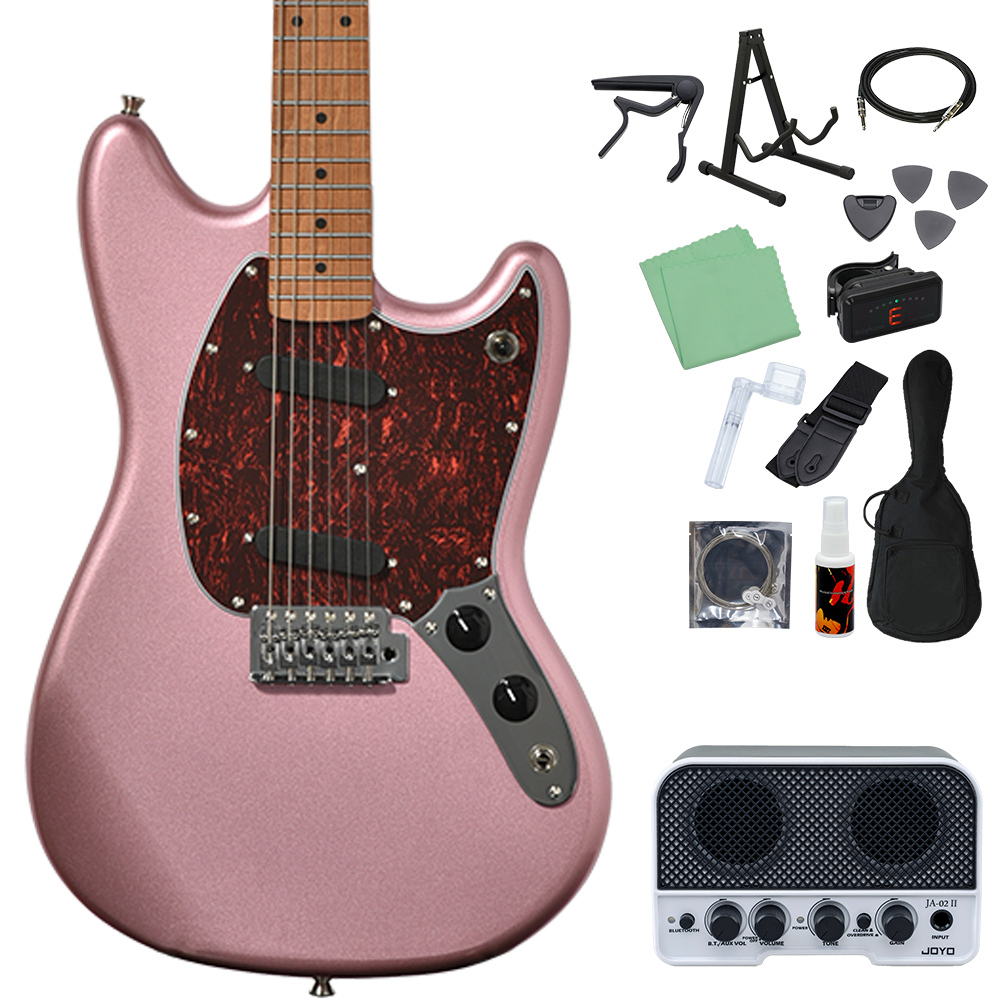 Bacchus BMS-1-RSM/M-TTPG BGM 初心者14点セット Bluetooth搭載