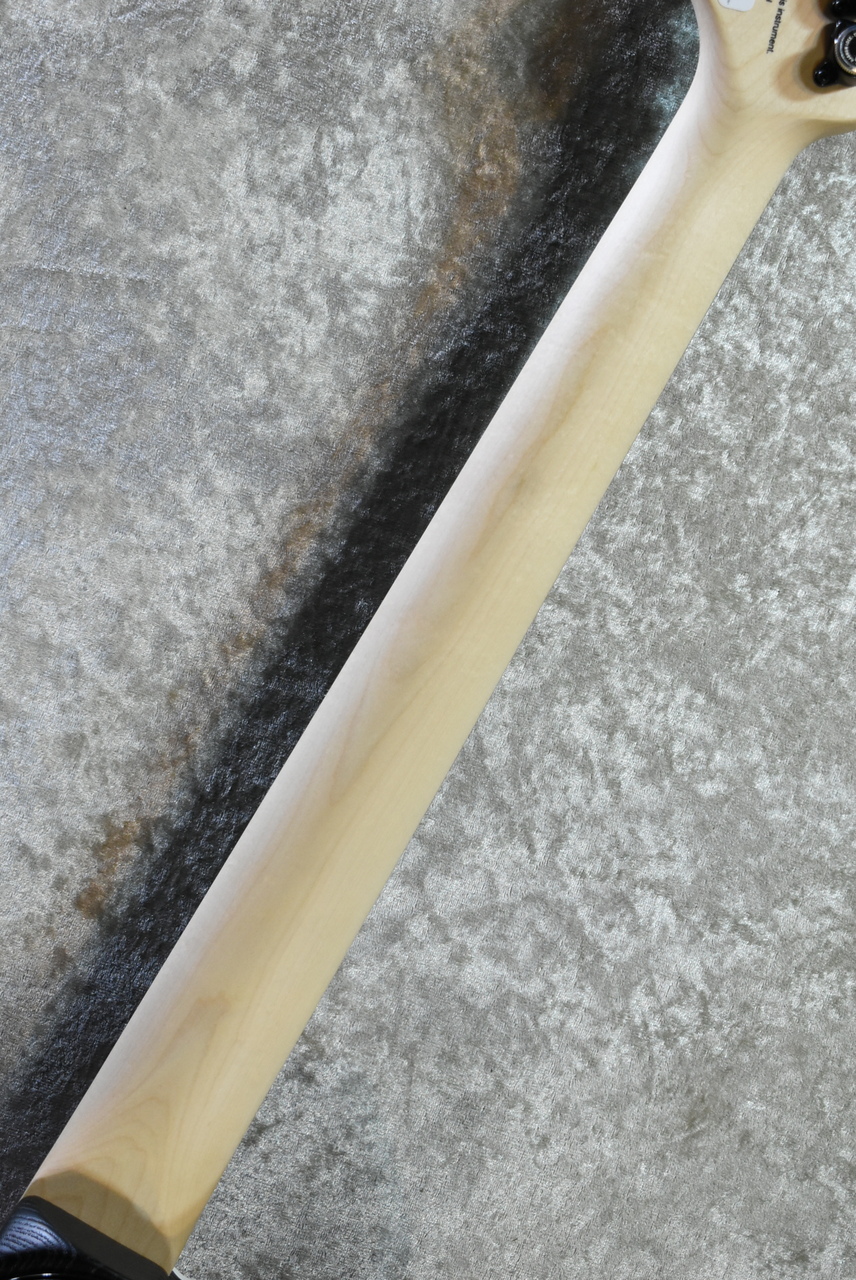 FUJIGEN(FGN) JIL2-ASH-DE664-R Open Pore Black #F250185【3.80