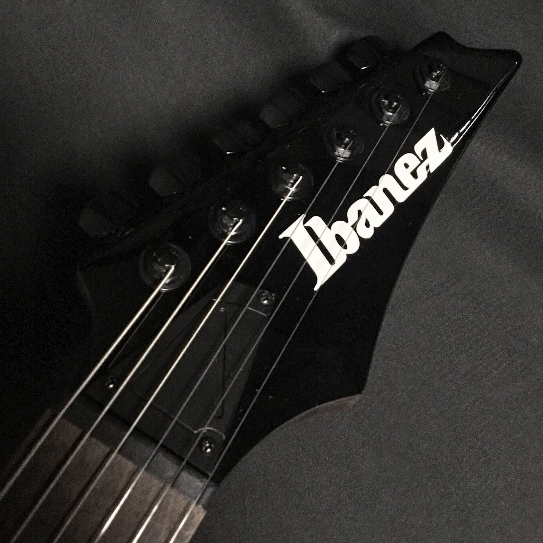 Ibanez RGD61ALA Midnight Tropical Rainforest（新品/送料無料