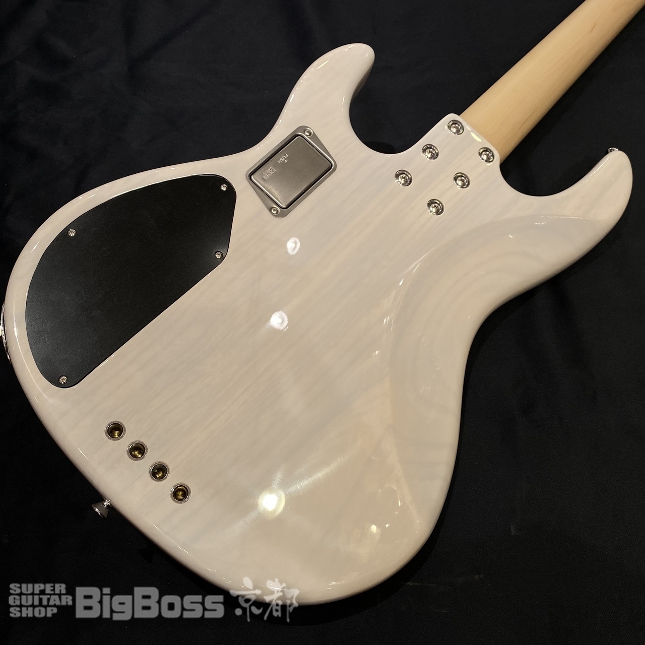 E-II AP-4 / See Thru White（新品/送料無料）【楽器検索